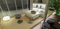 Lyndenwoods (D5), Apartment #561877511